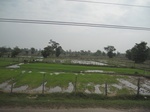 34410IMG_5391.JPG