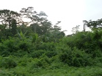 19870P1010720.JPG