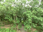 34856CIMG1527.JPG