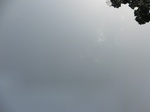 48044CIMG4381.JPG