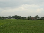 21927DSC00176.JPG