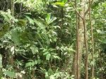 47130CIMG3467.JPG