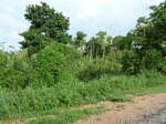 18321P1000157.JPG