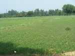 17571100_2507.JPG