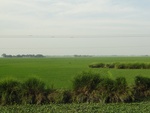 26100DSC01127.JPG
