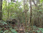 46680DSC02013.JPG