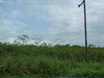 20495P1020352.JPG