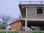1546R0015222_tag.jpg
