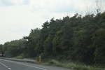 2024-10-10_16-55-56_67407BD0-B8CF-4C34-8094-C969AE95AEDD.jpeg