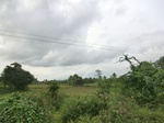 55823CIMG6457.JPG