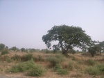 9096RIMG0176.JPG