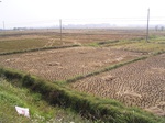 3230R0017264.JPG