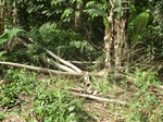 48453CIMG4790.JPG