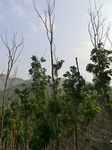 53488CIMG6825.JPG