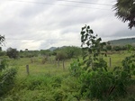 55828CIMG6463.JPG