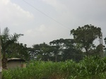 49942CIMG6279.JPG