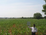 9322gt040a-rainfed-mixed-crops.gif