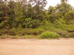 54838Berau (128).JPG