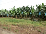 50806CIMG1435.JPG