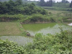 853R0015389.jpg