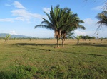31936IMG_5665.JPG
