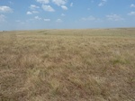 36093P1040968.JPG