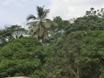49679CIMG6016.JPG