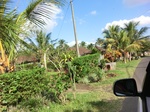 30396CIMG1964.JPG