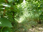 18255P1000091.JPG