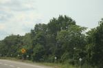 2024-09-24_16-39-56_0F5E3B03-D609-4FC5-93CE-37C8EC6C9A91.jpeg