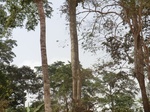 48268CIMG4605.JPG