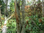 46535CIMG0824.JPG