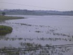 818R0015377_small.jpg