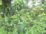 48769CIMG5106.JPG