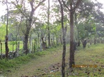 30021IMG_5366.JPG