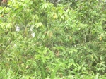 48341CIMG4678.JPG