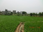 53934CIMG3707.JPG