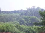 499R0015045.jpg