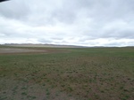 23042P1020508.JPG
