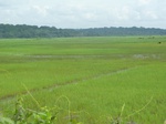 20095P1010946.JPG