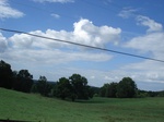 32305p50_s.jpg