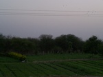1681701052008(32).JPG