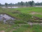 34587RIMG0053.JPG