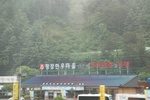 2024-08-05_13-43-49_03232A37-0266-4AA9-84B1-C28C894832D3.jpeg