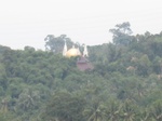 14555IMG_4921.JPG