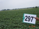 130610297a-rainfed-irrigated-supplemental-soyabean-dominant-rice-doublecrop-wheat.gif