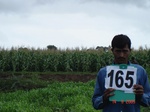 126050165b-irrigated-supplemental-major-lift-irrigation-maize-cotton-doublecrop-wheat-onion.gif