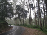 13584IMG_3838.JPG