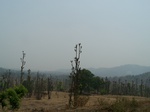 504020042008(77).JPG
