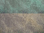 11523vp035-fallow-farm-a.jpg